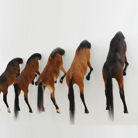 horse-bodies-on-the-wall